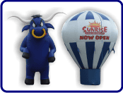 Tampa balloon rentals