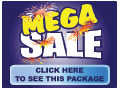 Mega Sale Sale in a Box Kit